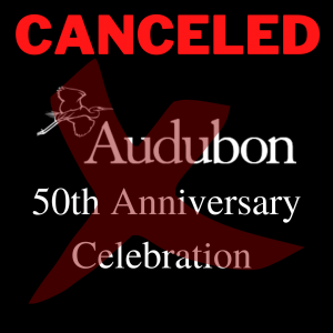 Audubon Celebration Canceled