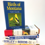 Fun Gifts for Kids: birding books!