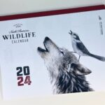 January 2024 Featured Products: 2024 illustrated calendar