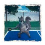 January 2024 Featured Products: pickleball tile coaster