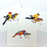 Beautifully Illustrated Cards
